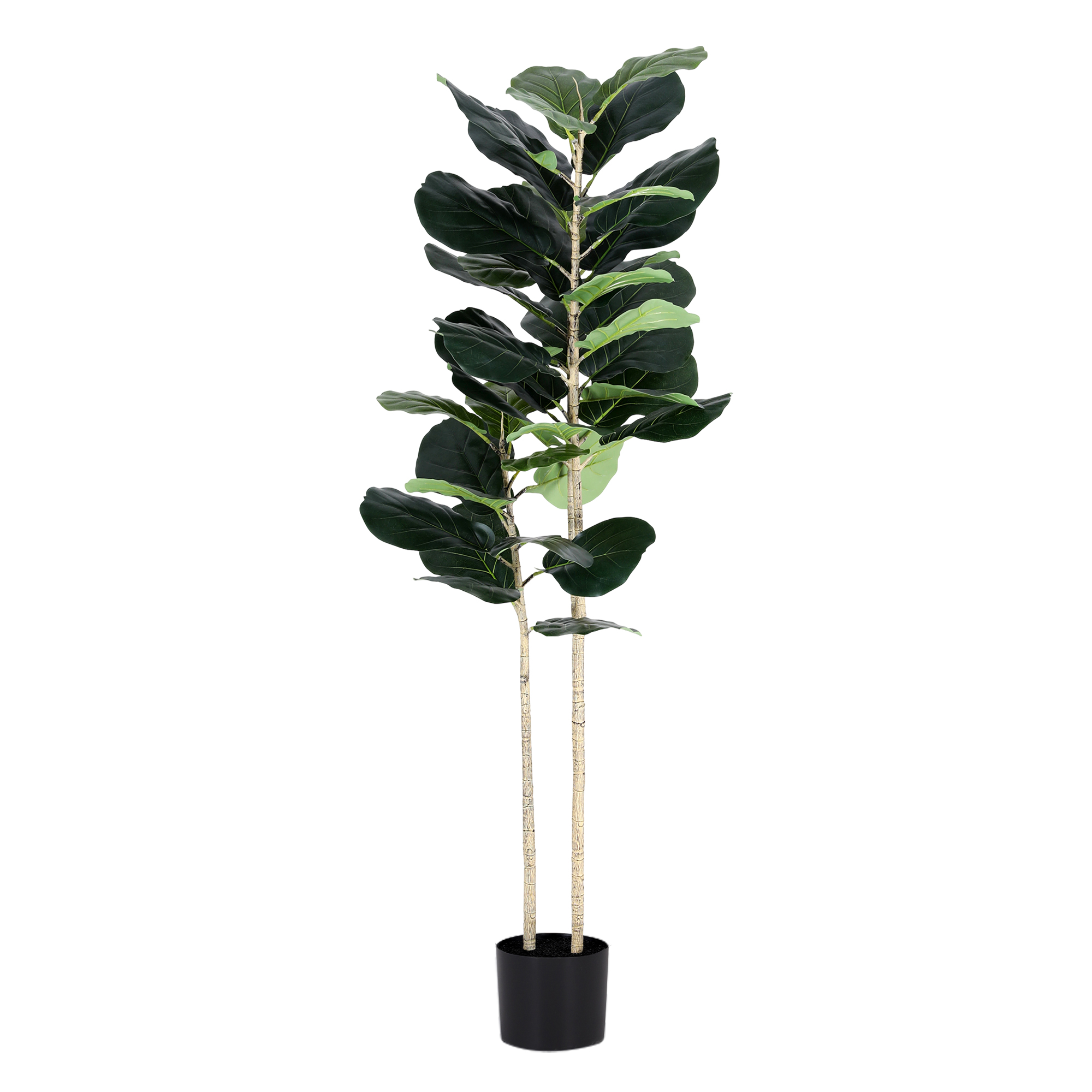 Artiss Artificial Fiddle Tree in 2 Sizes view 2