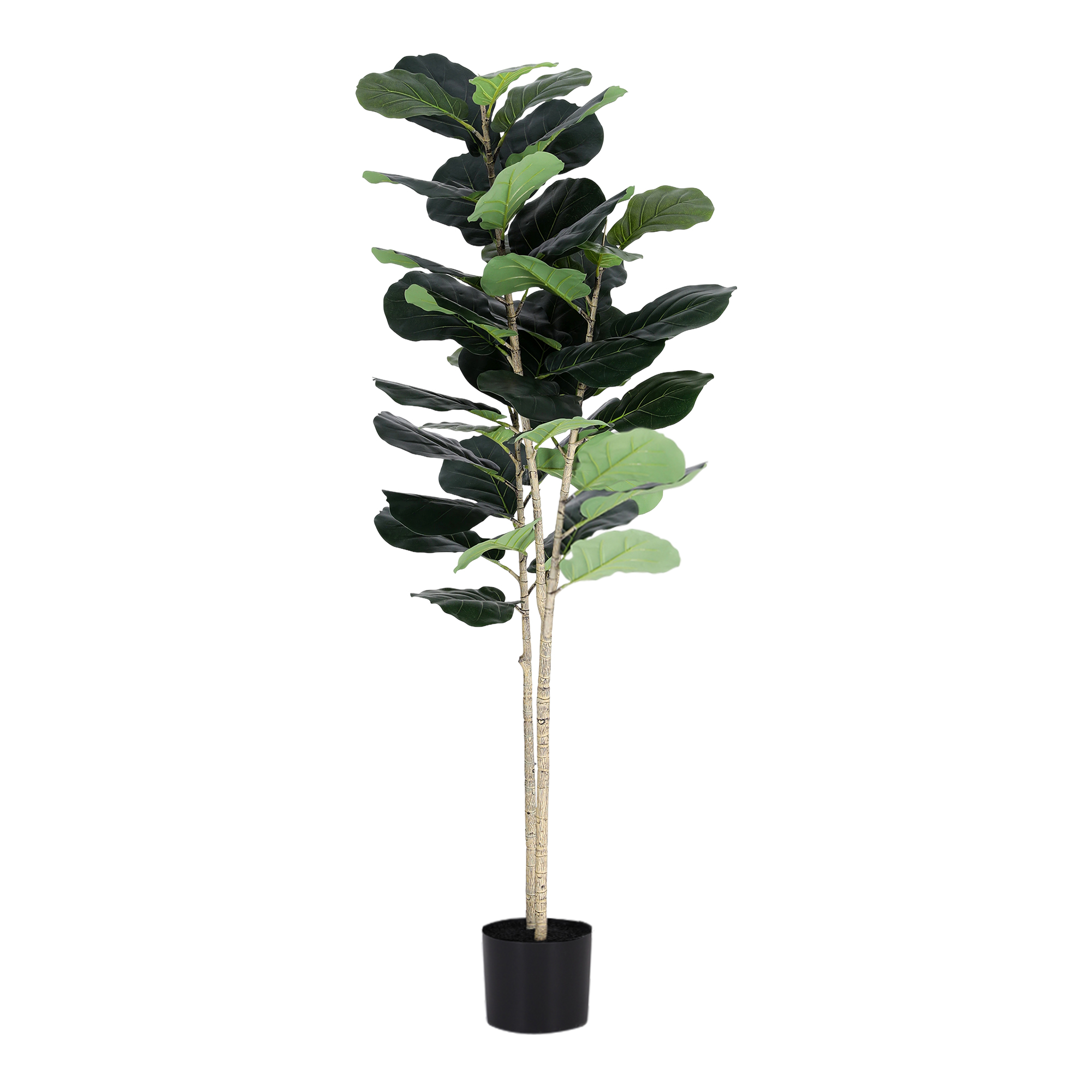 Artiss Artificial Fiddle Tree in 2 Sizes view 4
