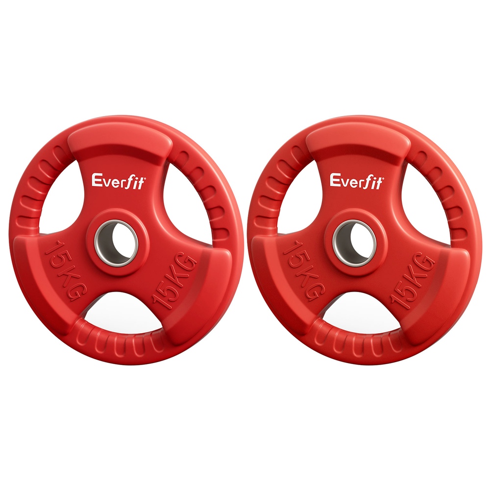Everfit Olympic Weight Plates Set Pair Cast Iron