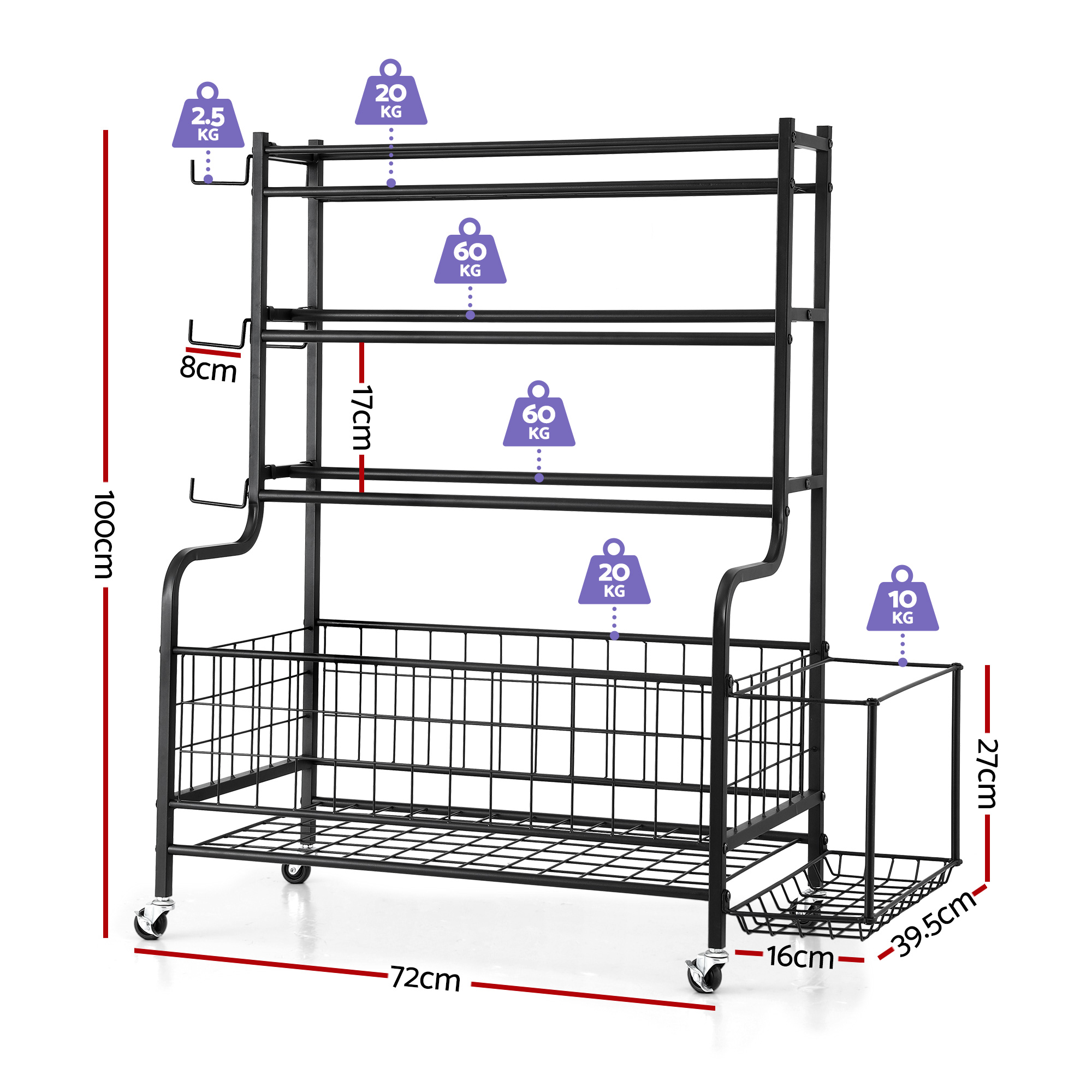 Everfit 4-Tier Dumbbell Rack for Home Gym Storage view 2
