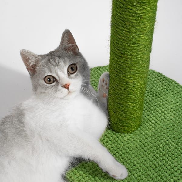 Green Black Cat Scratching Post Cactus Cat Toy Cat Furniture Cat Scratcher Cat Claw Care view 3