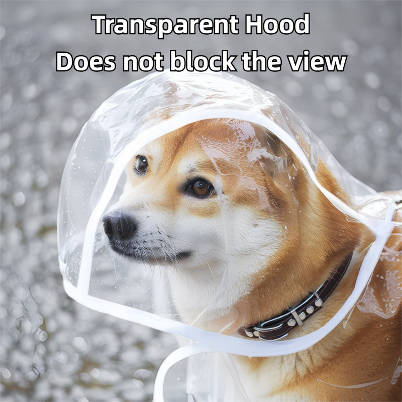 Rainy Day Dog Raincoat Set view 4